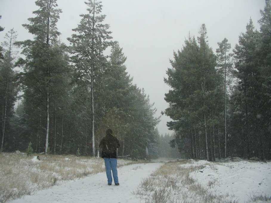 snow snow_pictures : near Oberon, NSW   23 June 2005