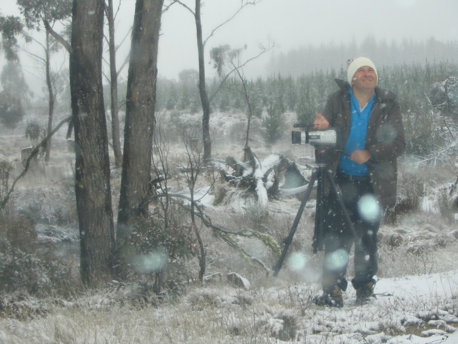 snow snow_pictures : near Oberon, NSW   23 June 2005