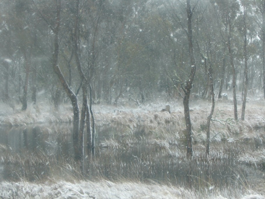 precipitation precipitation_rain : near Oberon, NSW   23 June 2005