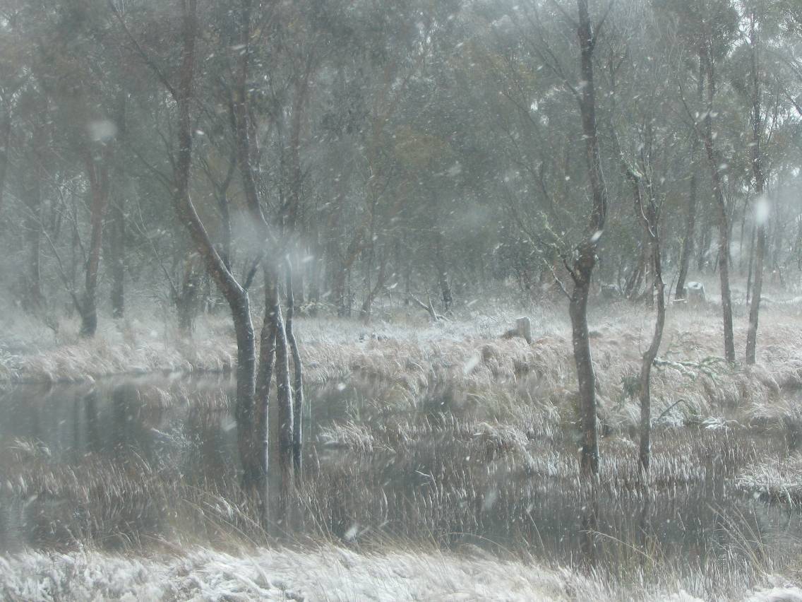 precipitation precipitation_rain : near Oberon, NSW   23 June 2005