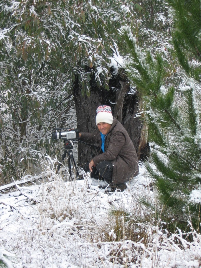 snow snow_pictures : near Oberon, NSW   23 June 2005