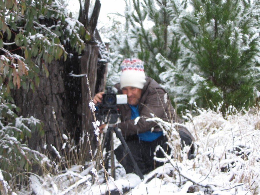 snow snow_pictures : near Oberon, NSW   23 June 2005