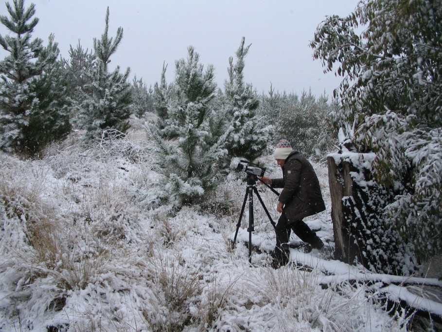 snow snow_pictures : near Oberon, NSW   23 June 2005