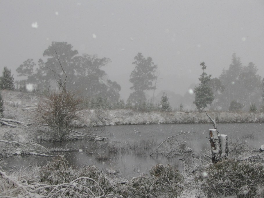 snow snow_pictures : near Oberon, NSW   23 June 2005