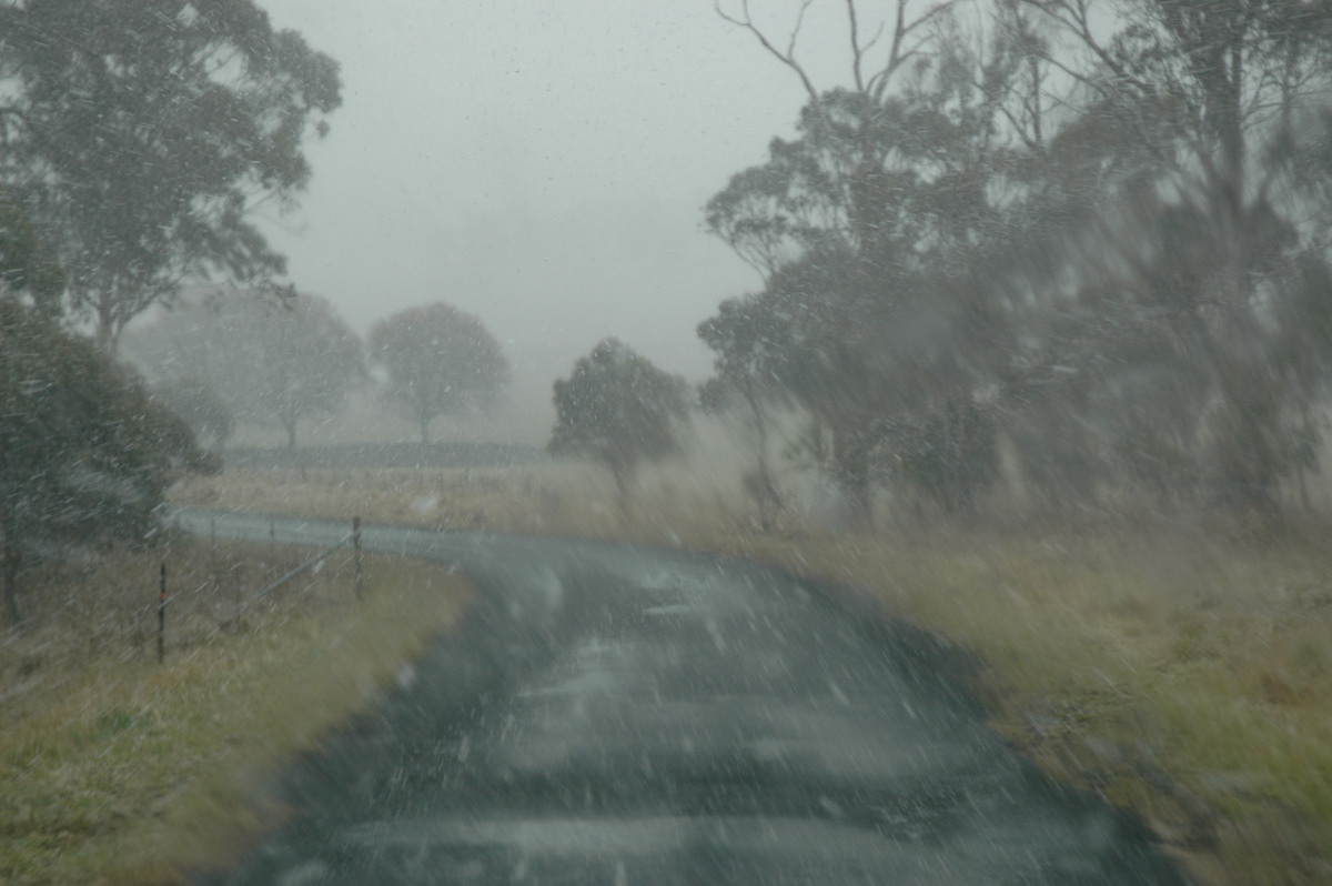 precipitation precipitation_rain : Ben Lomond, NSW   23 June 2005