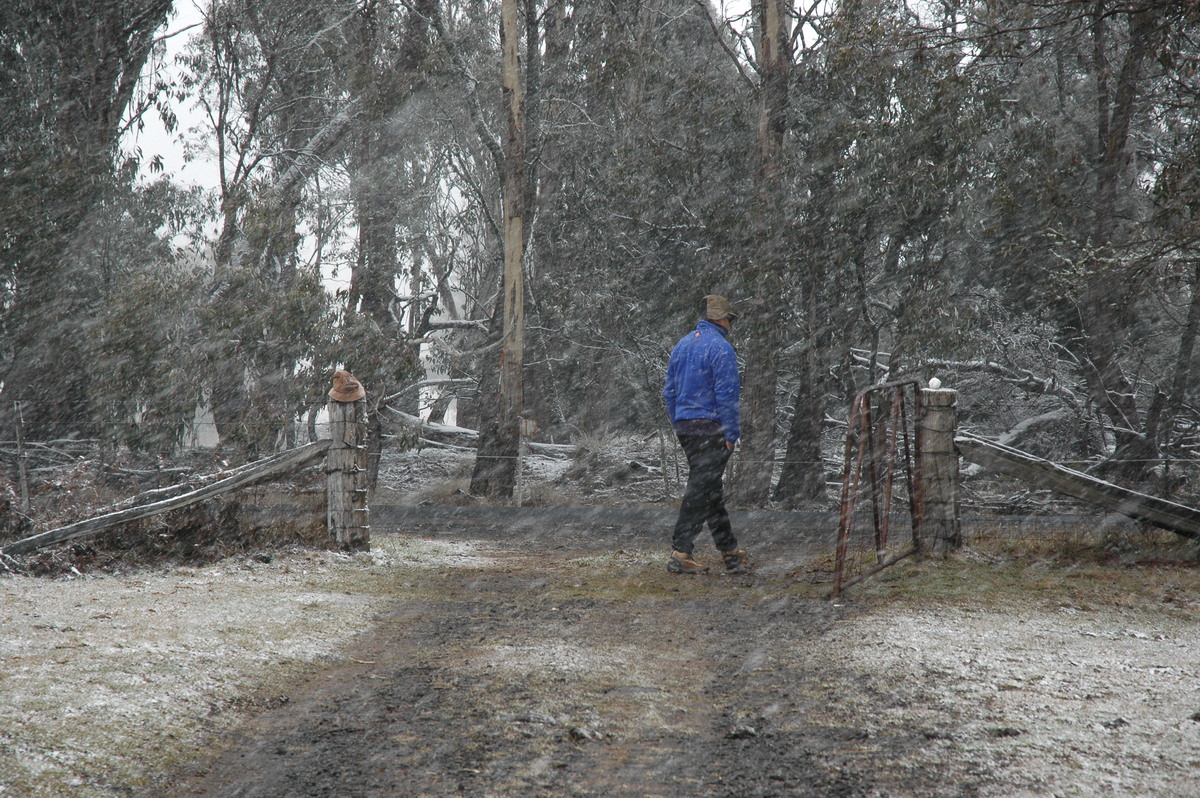 snow snow_pictures : Ben Lomond, NSW   23 June 2005