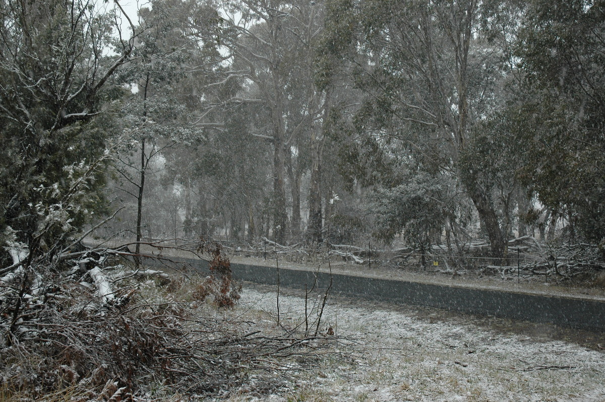 precipitation precipitation_rain : Ben Lomond, NSW   23 June 2005