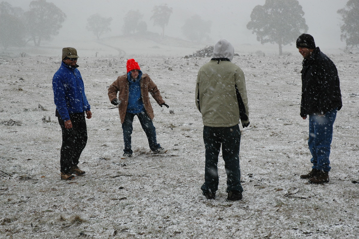 favourites michael_bath : Ben Lomond, NSW   23 June 2005