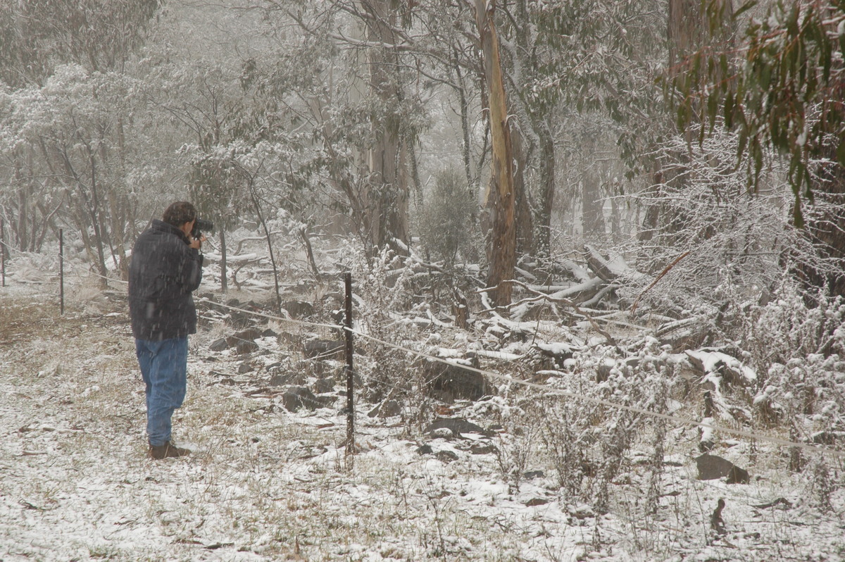 snow snow_pictures : Ben Lomond, NSW   23 June 2005