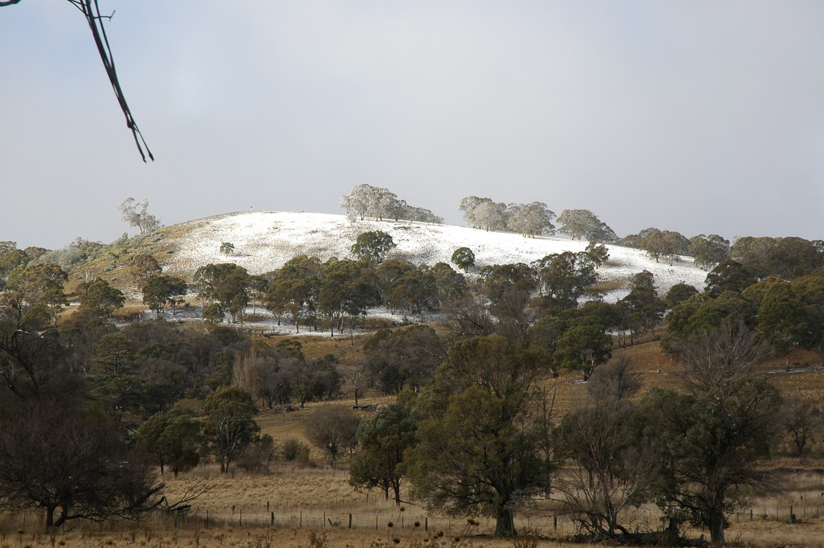 snow snow_pictures : Ben Lomond, NSW   23 June 2005