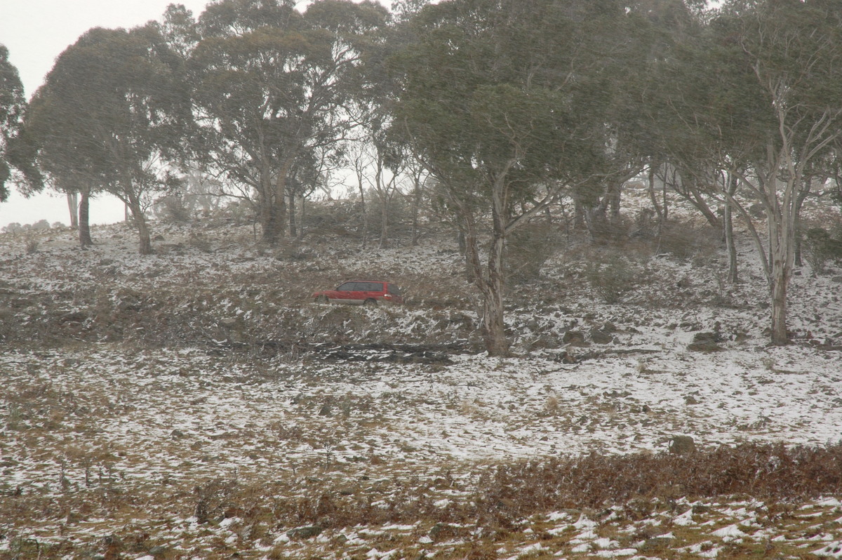 snow snow_pictures : Ben Lomond, NSW   23 June 2005