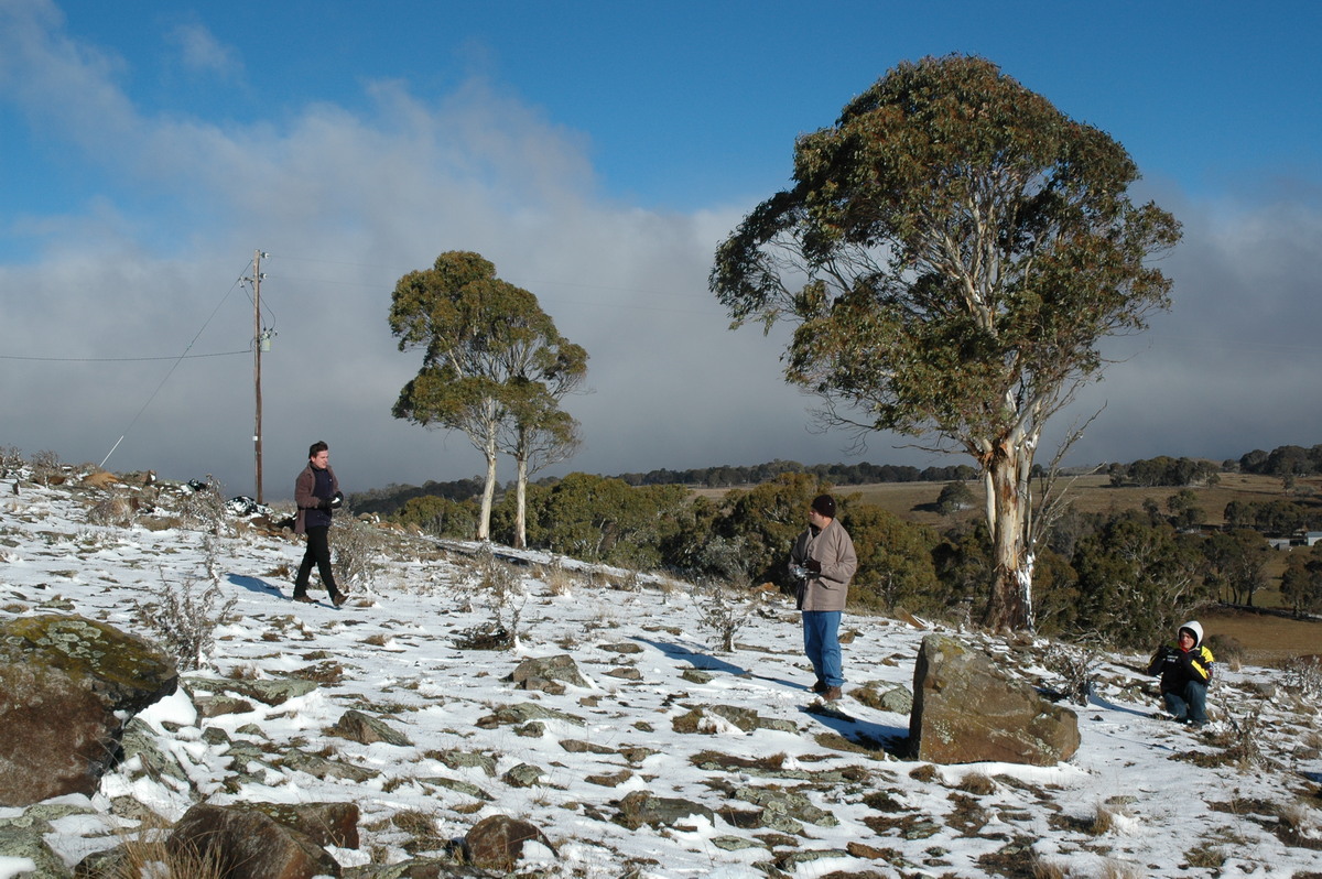 snow snow_pictures : Ben Lomond, NSW   23 June 2005