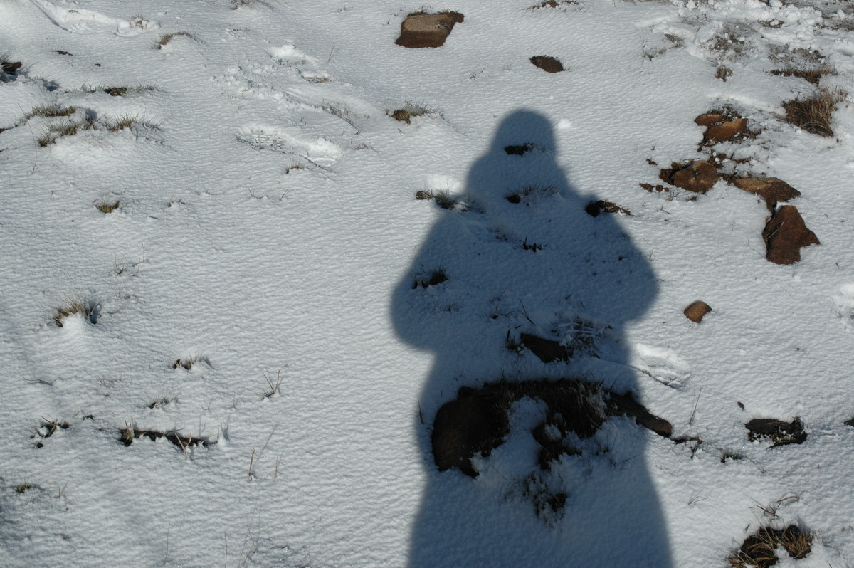 snow snow_pictures : Ben Lomond, NSW   23 June 2005