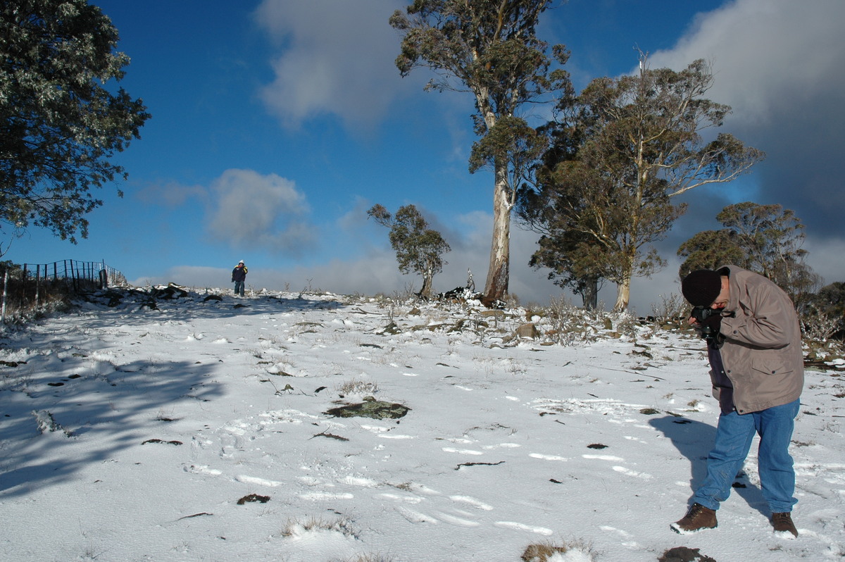 snow snow_pictures : Ben Lomond, NSW   23 June 2005