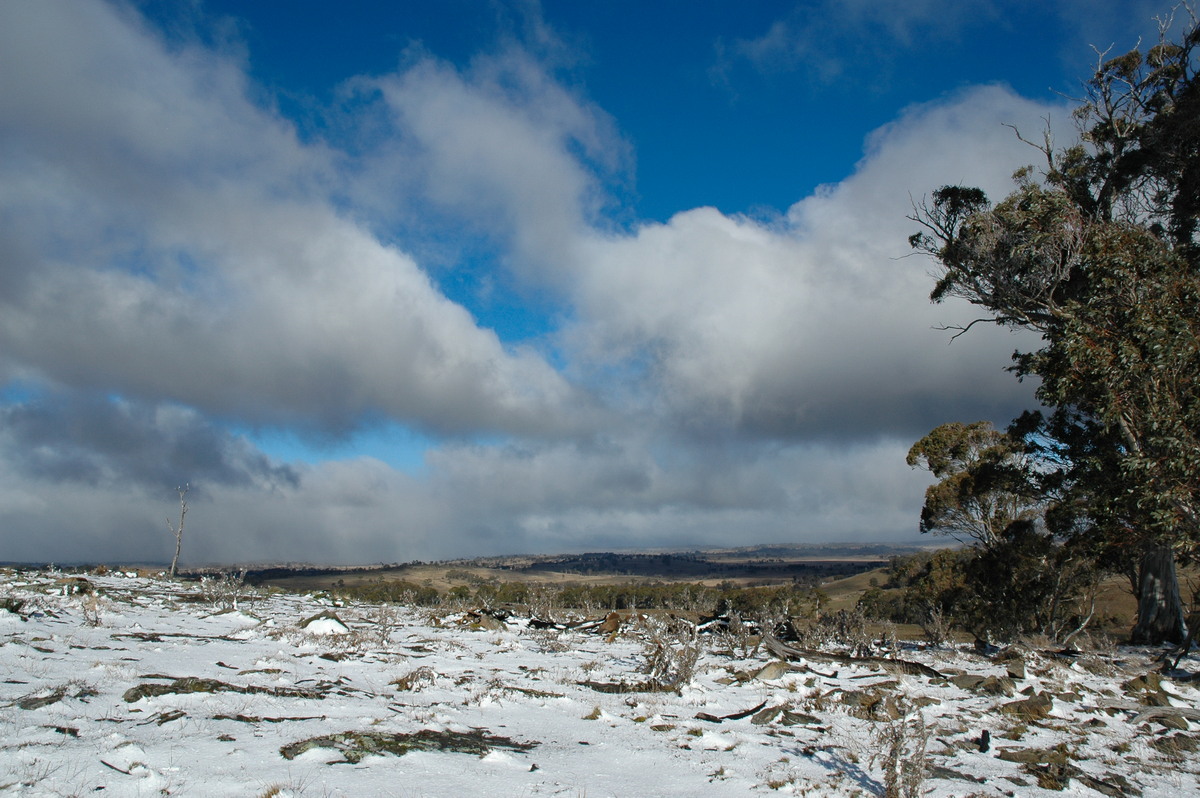 favourites michael_bath : Ben Lomond, NSW   23 June 2005