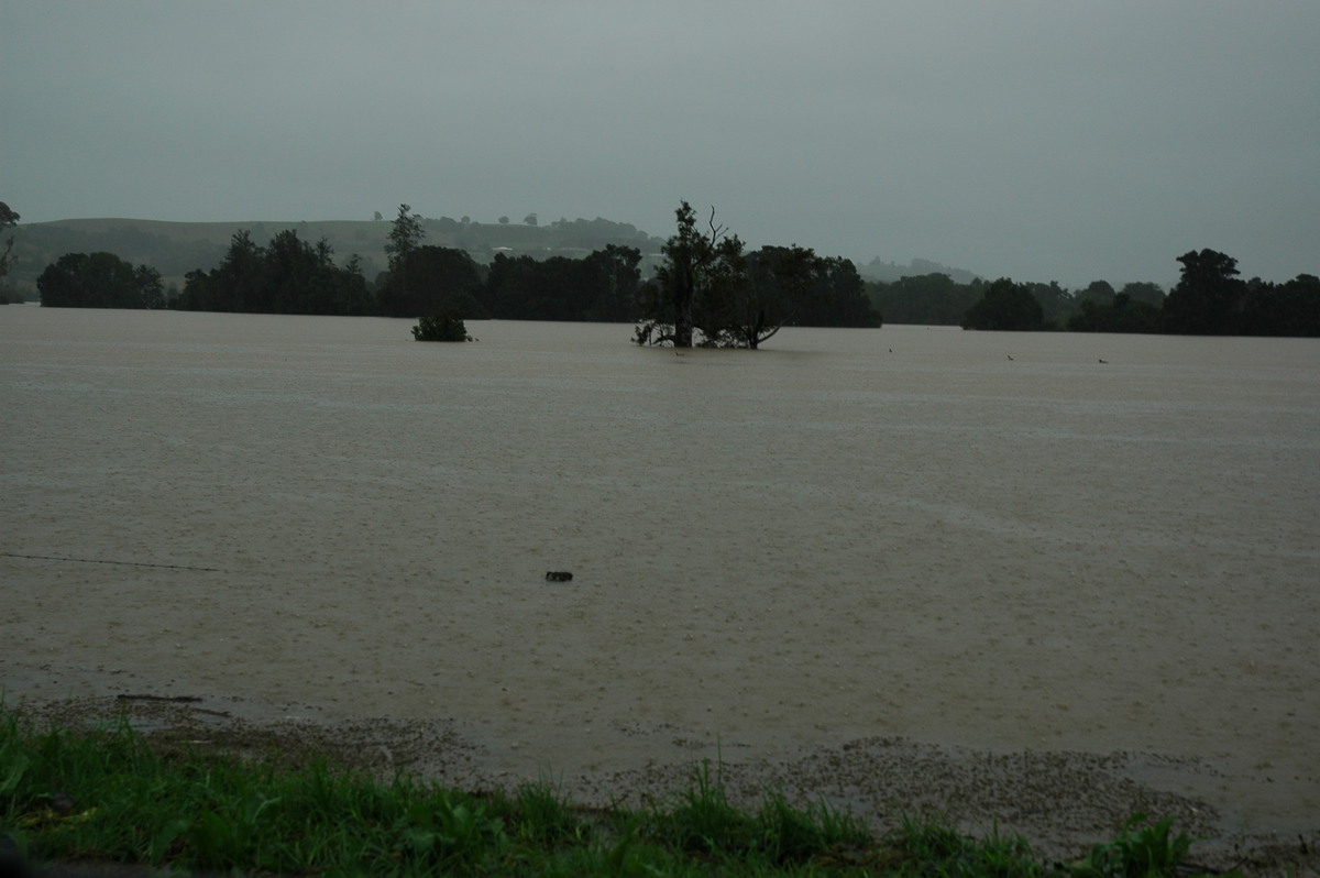 flashflooding flood_pictures : Eltham, NSW   30 June 2005