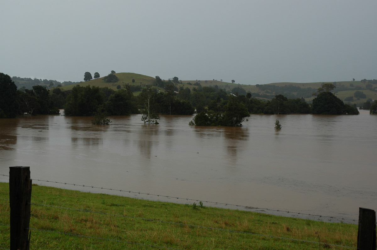 flashflooding flood_pictures : Eltham, NSW   30 June 2005