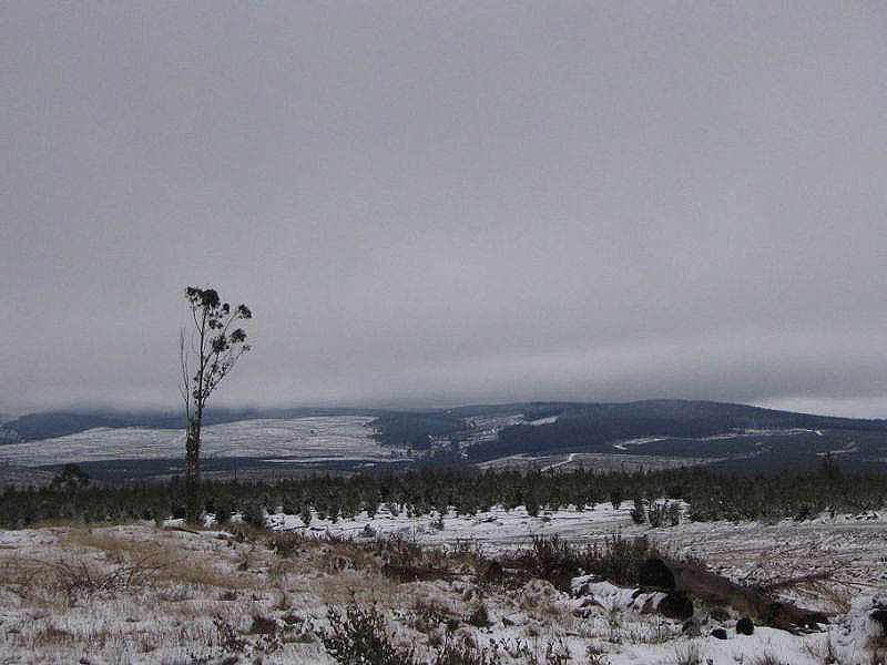 stratus stratus_cloud : near Oberon, NSW   10 July 2005