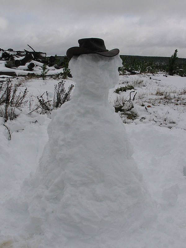 snow snow_pictures : near Oberon, NSW   10 July 2005