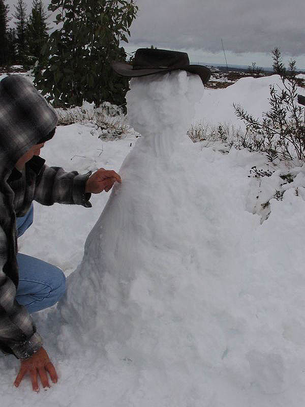 snow snow_pictures : near Oberon, NSW   10 July 2005