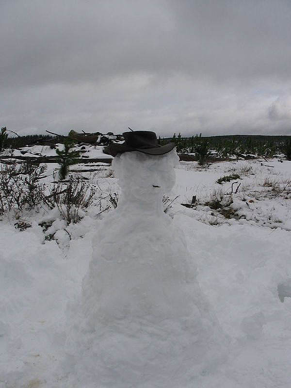 snow snow_pictures : near Oberon, NSW   10 July 2005