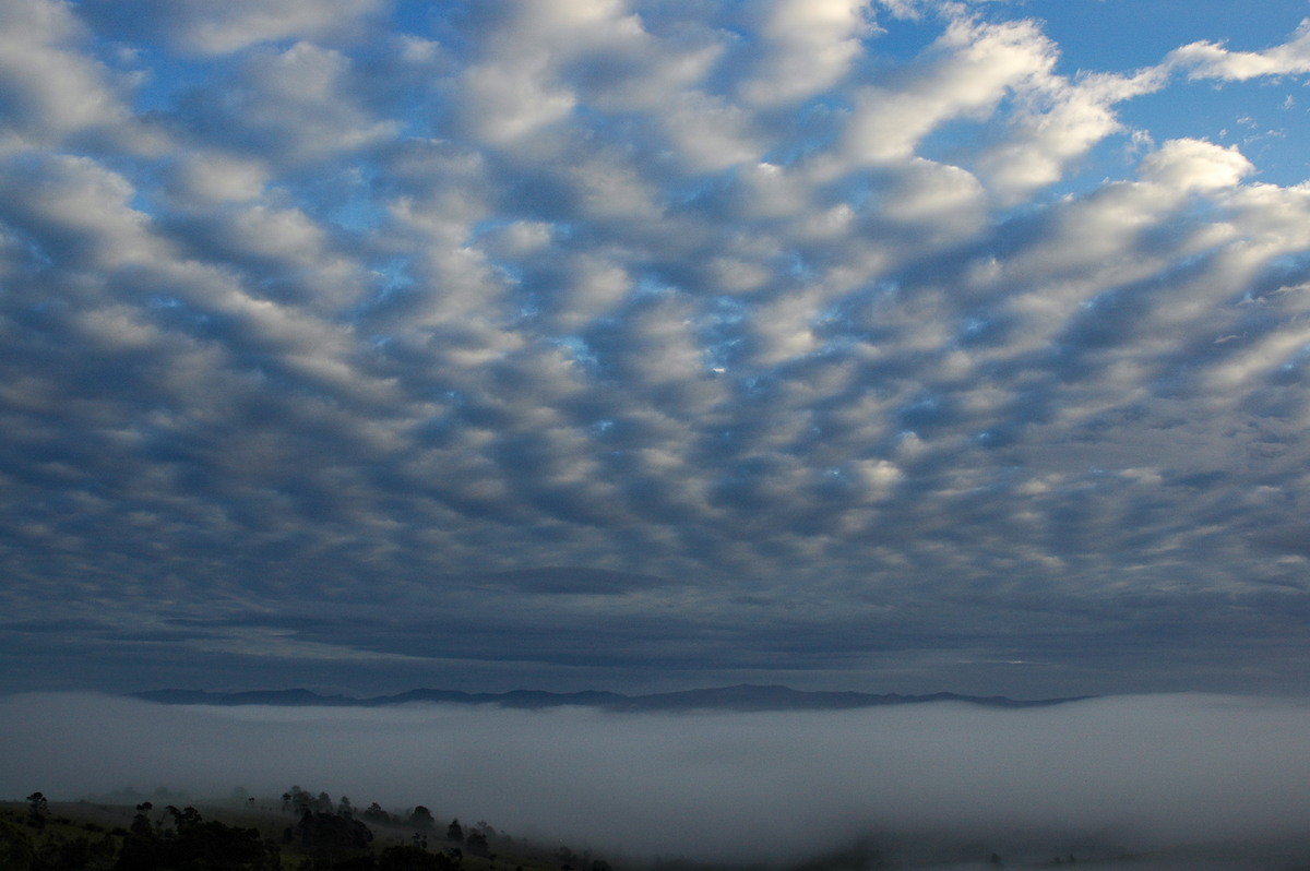 favourites michael_bath : McLeans Ridges, NSW   13 July 2005