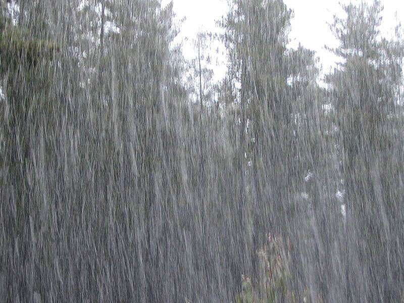 precipitation precipitation_rain : near Oberon, NSW   15 July 2005