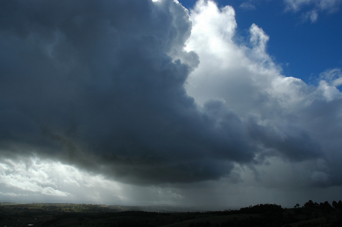 cumulus congestus : McLeans Ridges, NSW   21 July 2005
