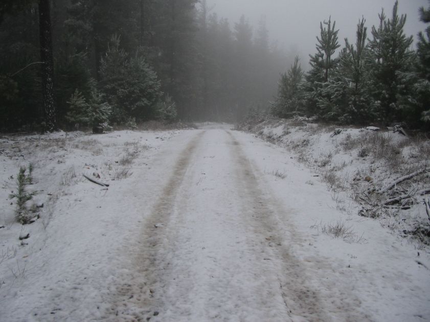 snow snow_pictures : near Shooters Hill, NSW   10 August 2005