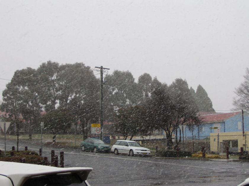 snow snow_pictures : Oberon, NSW   10 August 2005