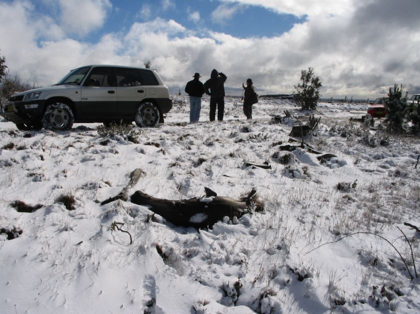 snow snow_pictures : Shooters Hill, NSW   10 August 2005