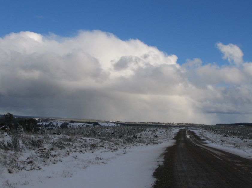 snow snow_pictures : Shooters Hill, NSW   10 August 2005