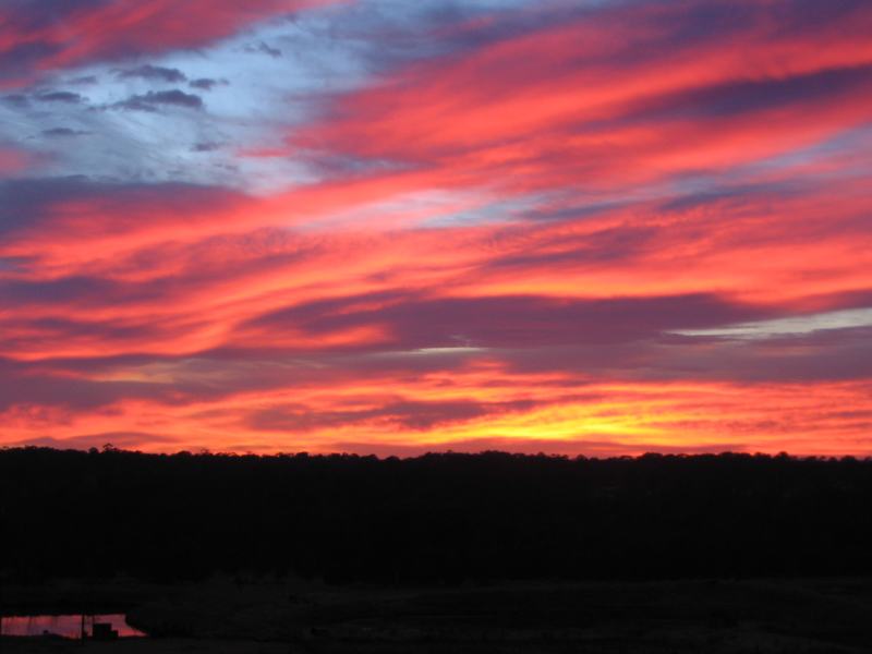 sunrise sunrise_pictures : Schofields, NSW   19 August 2005