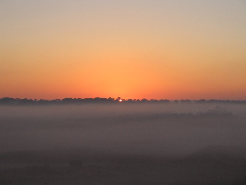 fogmist fog_mist_frost : Schofields, NSW   9 September 2005