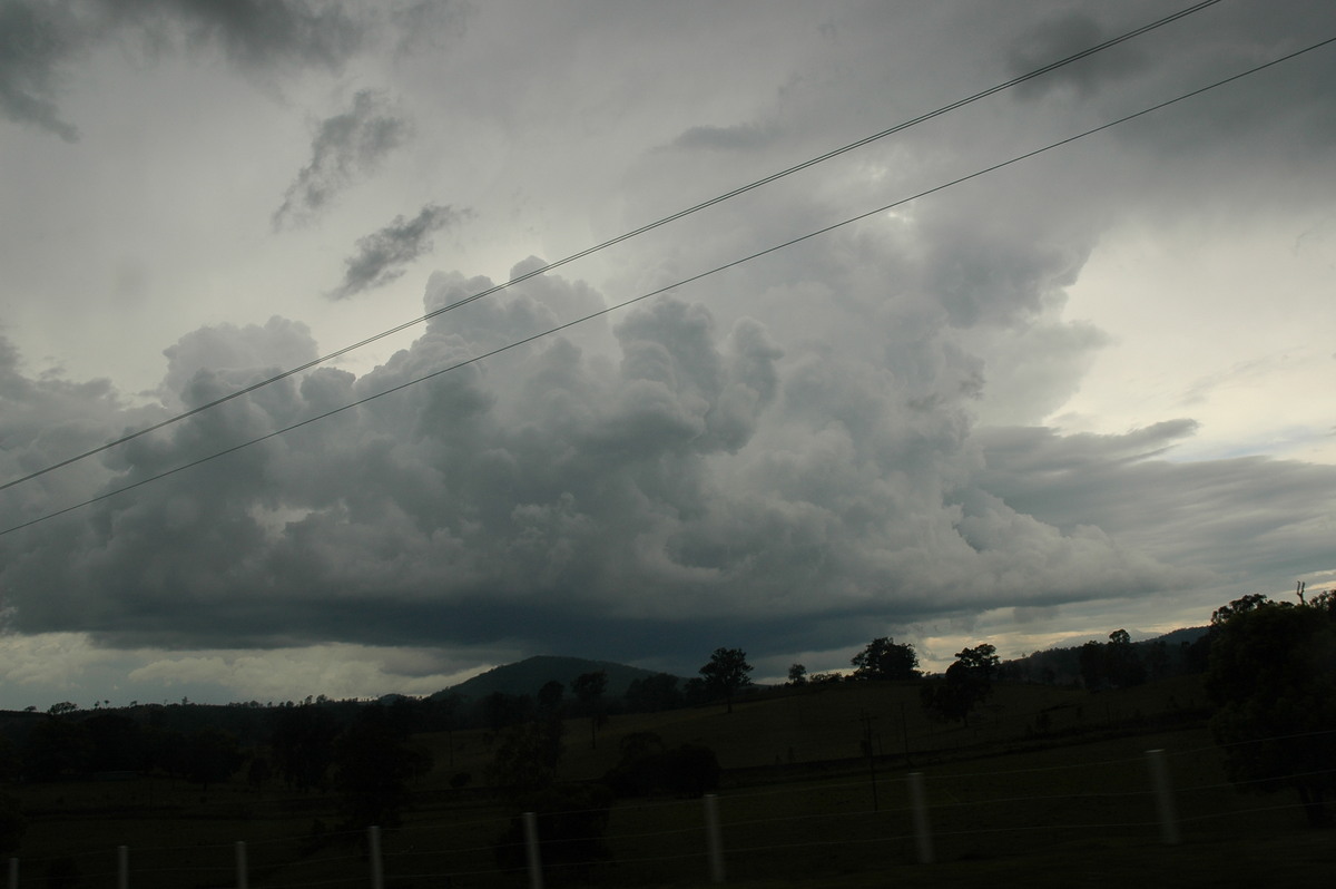 cumulus congestus : N of Casino, NSW   27 September 2005