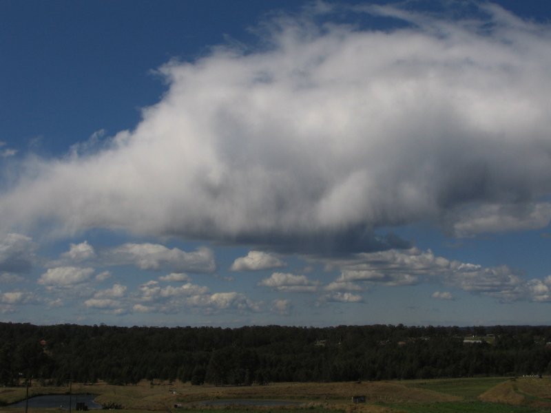 cumulus mediocris : Schofields, NSW   29 September 2005