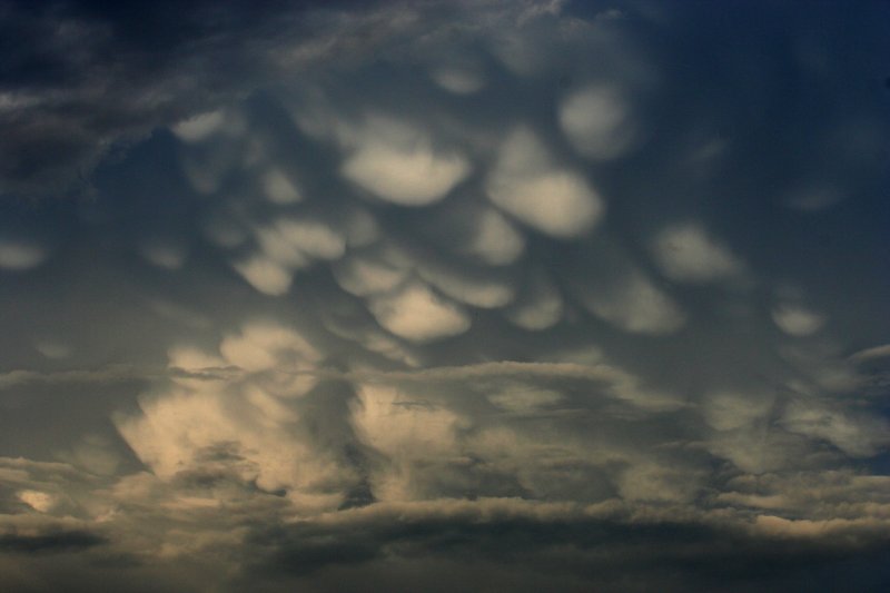 mammatus mammatus_cloud : Castlereagh, NSW   21 October 2005