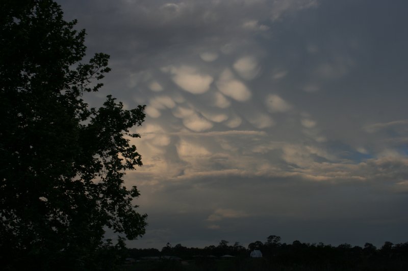 mammatus mammatus_cloud : Castlereagh, NSW   21 October 2005