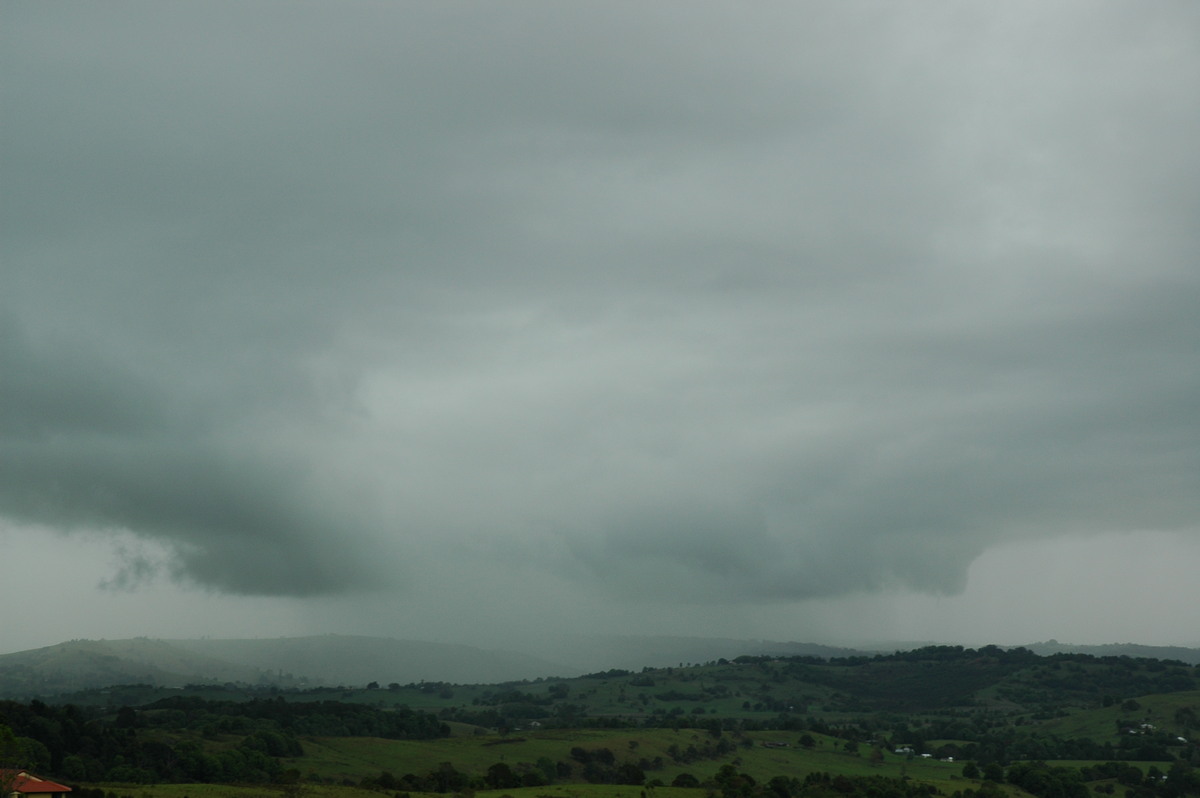 raincascade precipitation_cascade : McLeans Ridges, NSW   21 October 2005