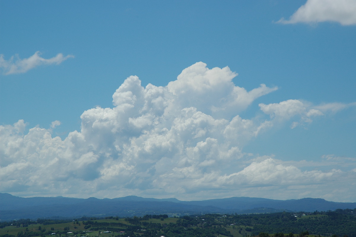 cumulus congestus : McLeans Ridges, NSW   23 October 2005