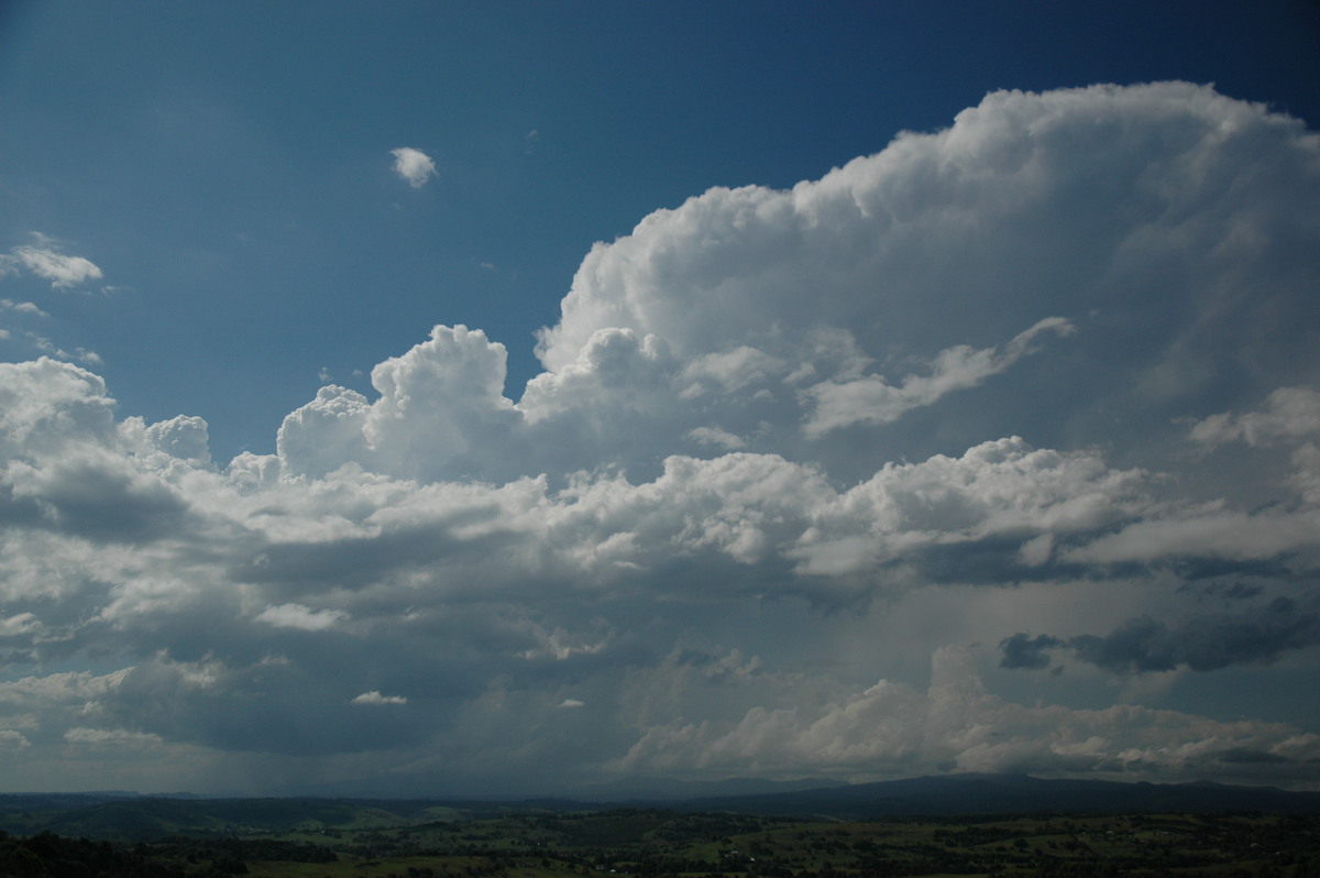 thunderstorm cumulonimbus_incus : McLeans Ridges, NSW   23 October 2005