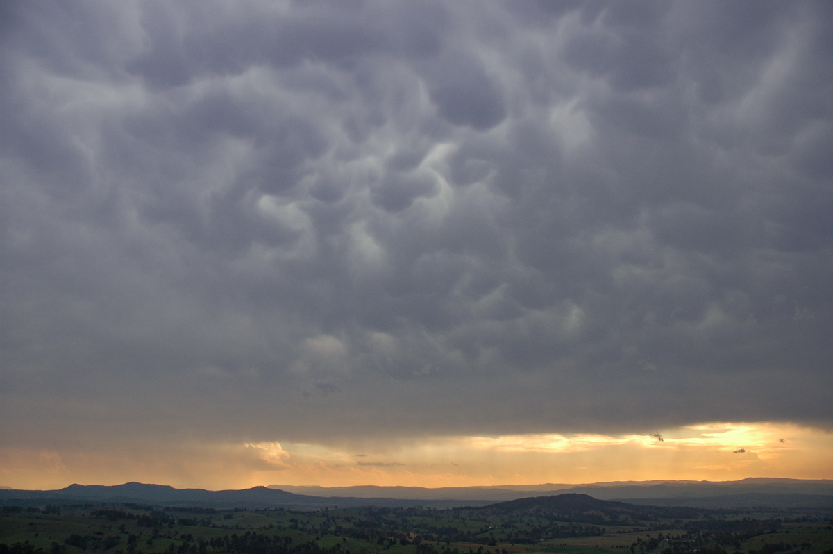 mammatus mammatus_cloud : Mallanganee NSW   24 October 2005