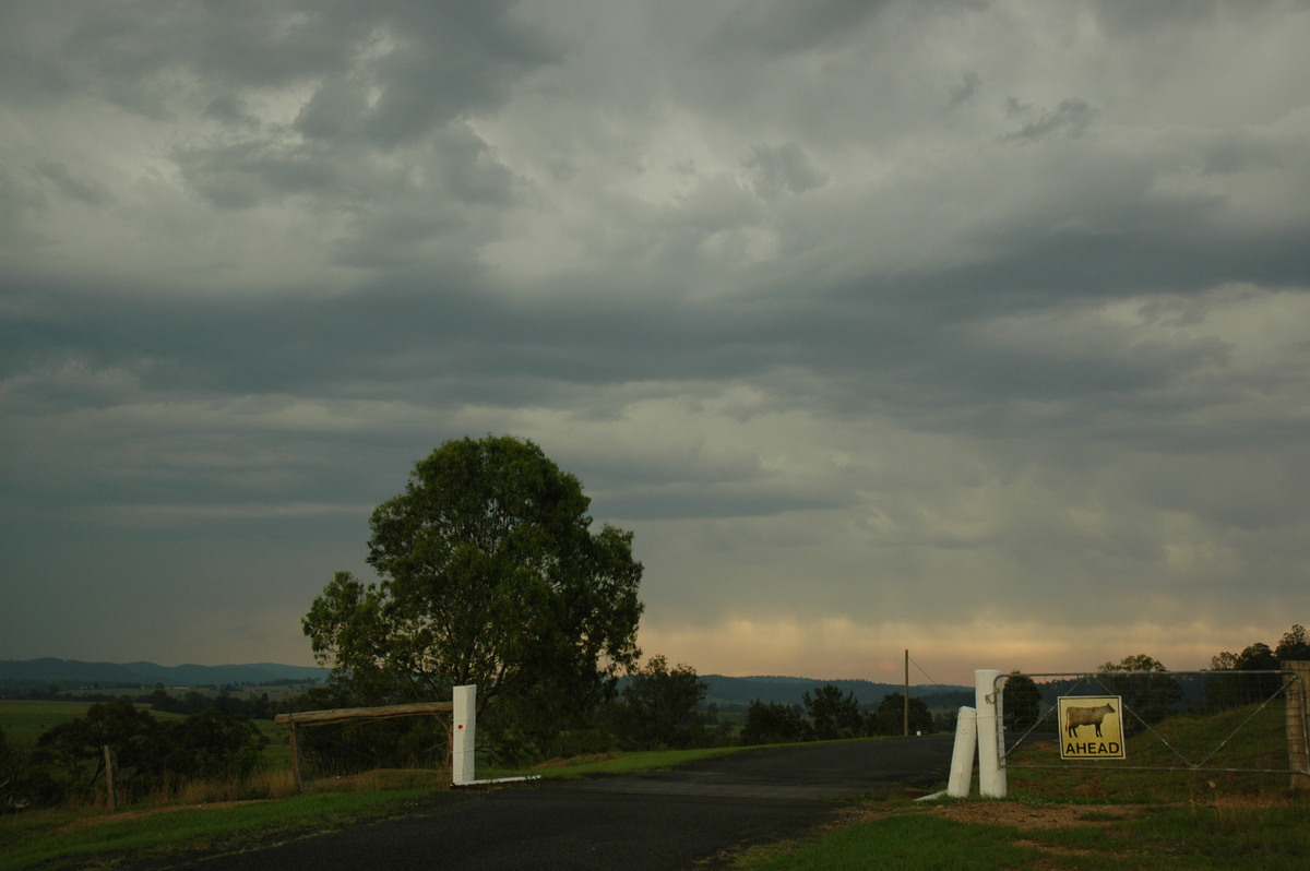 cumulonimbus thunderstorm_base : Mallanganee NSW   24 October 2005