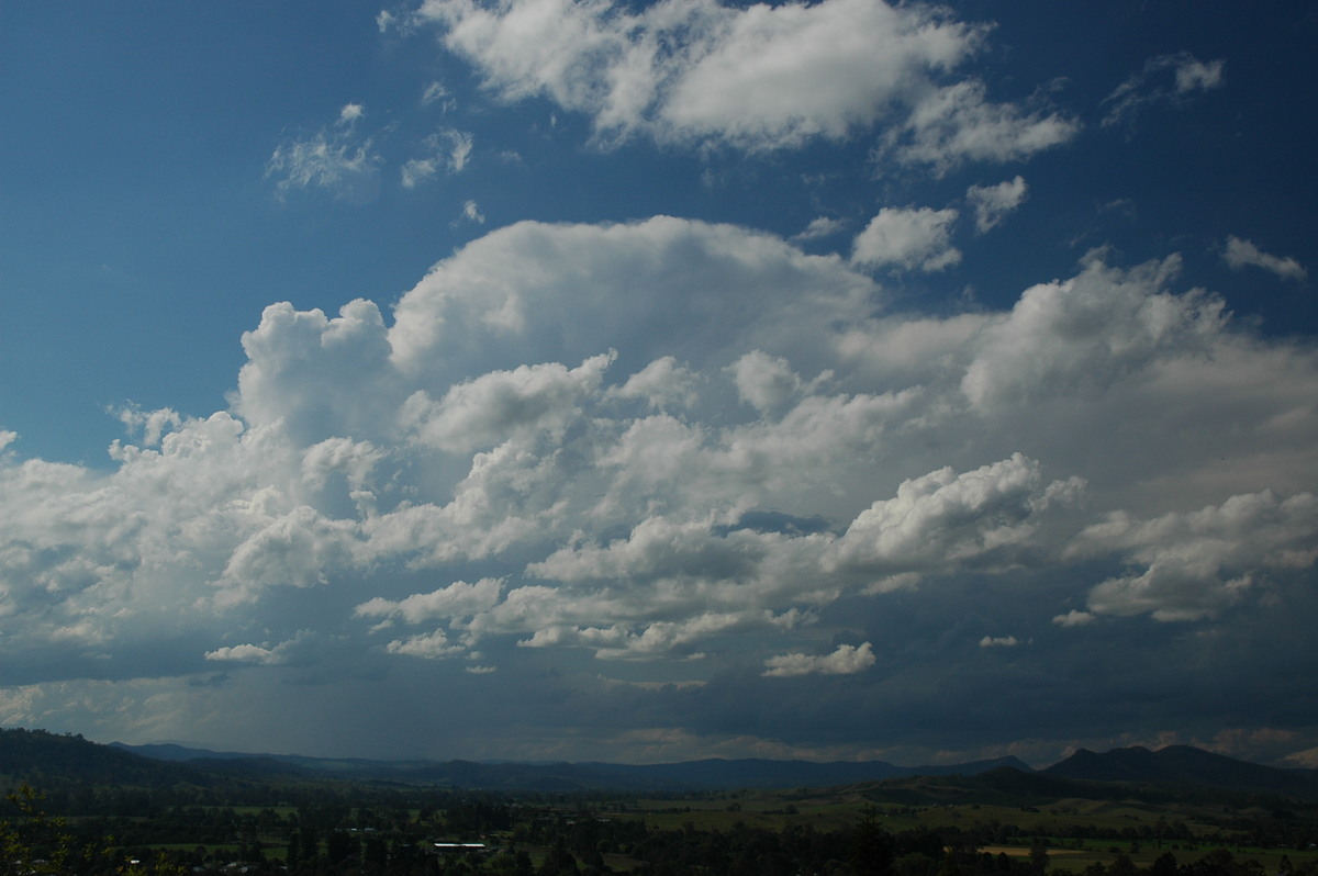 cumulus humilis : Kyogle, NSW   25 October 2005