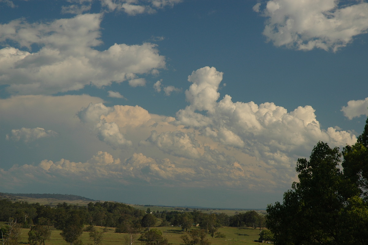 cumulus mediocris : Kyogle, NSW   25 October 2005