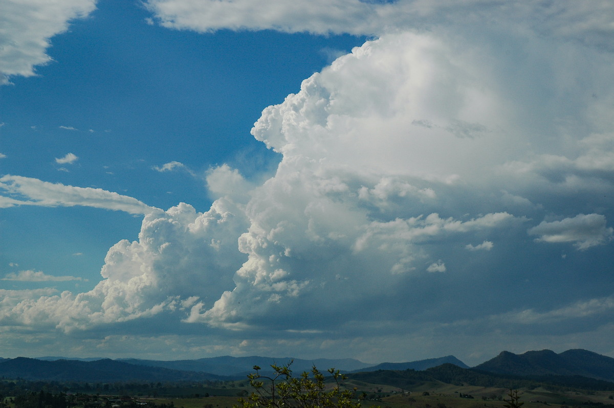 thunderstorm cumulonimbus_incus : Kyogle, NSW   25 October 2005