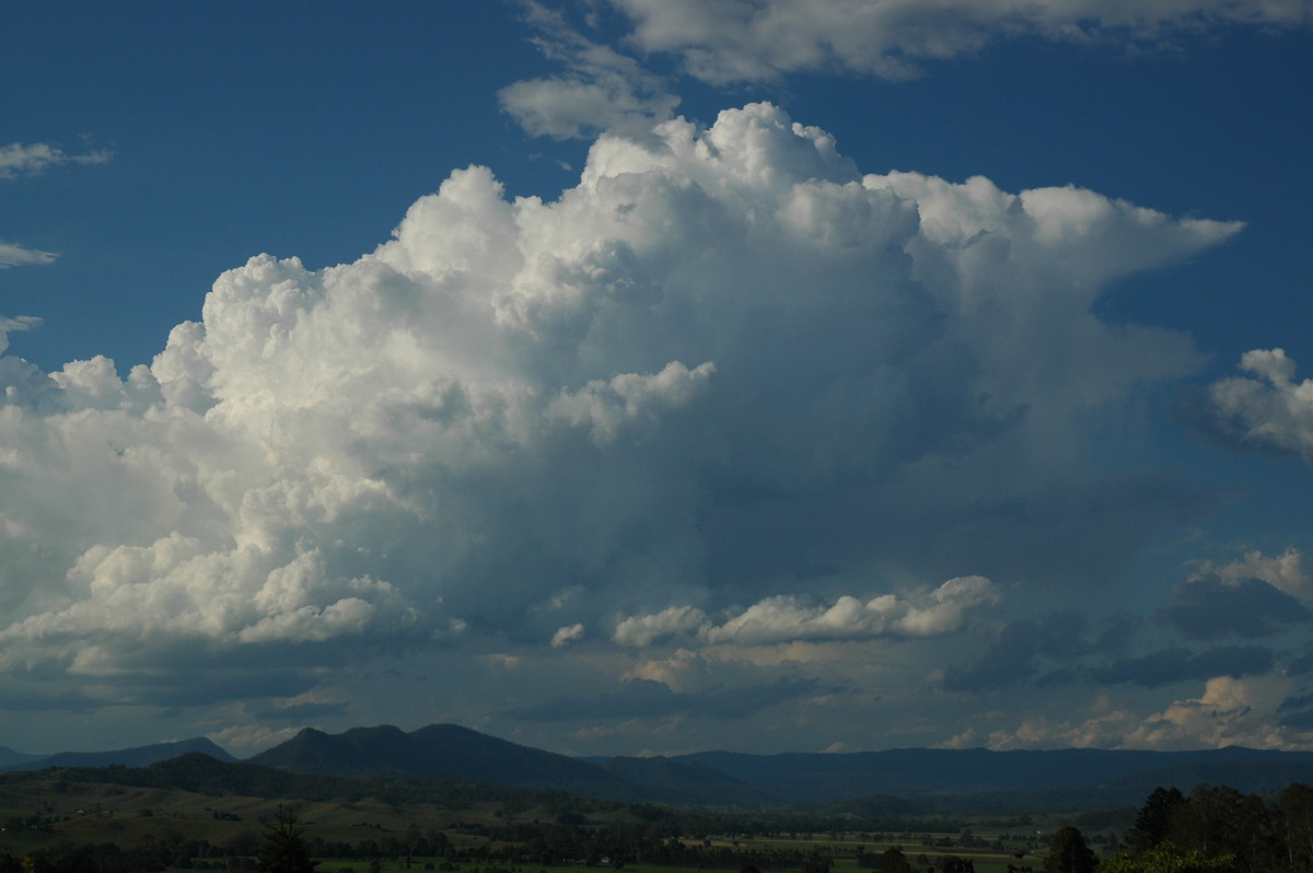 thunderstorm cumulonimbus_calvus : Kyogle, NSW   25 October 2005