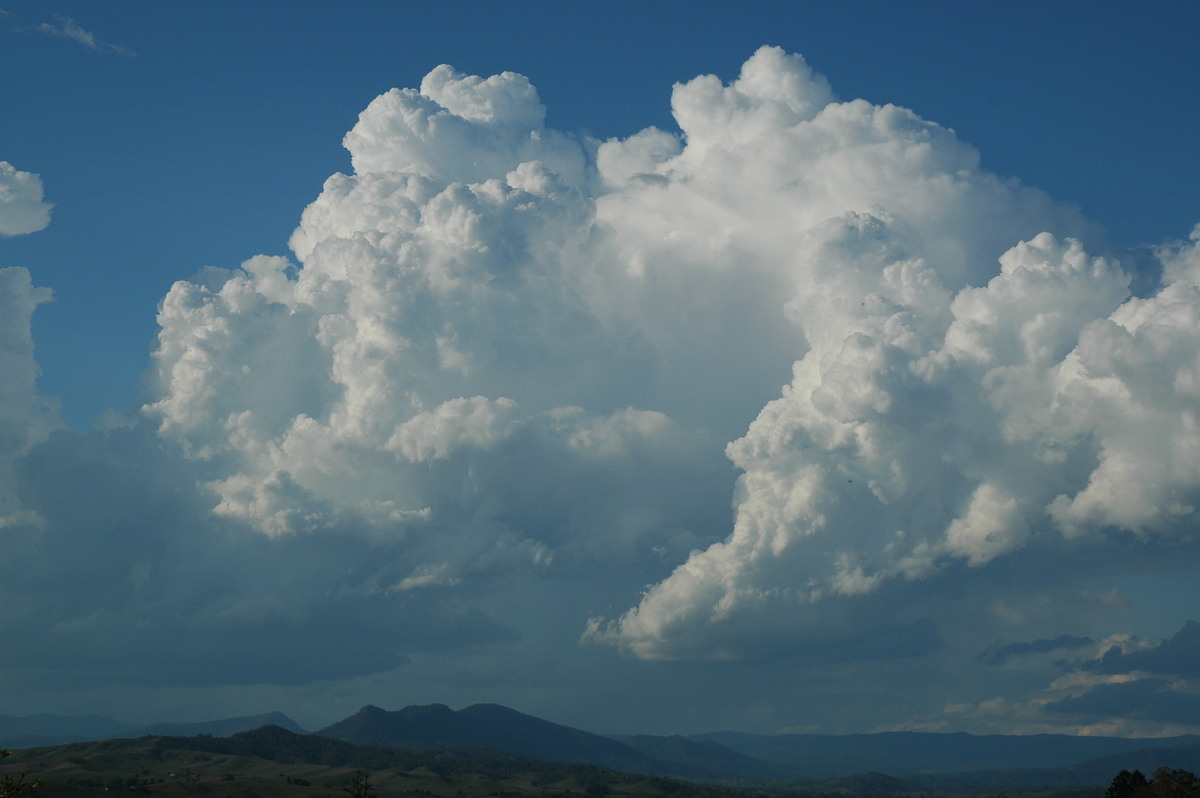 thunderstorm cumulonimbus_calvus : Kyogle, NSW   25 October 2005