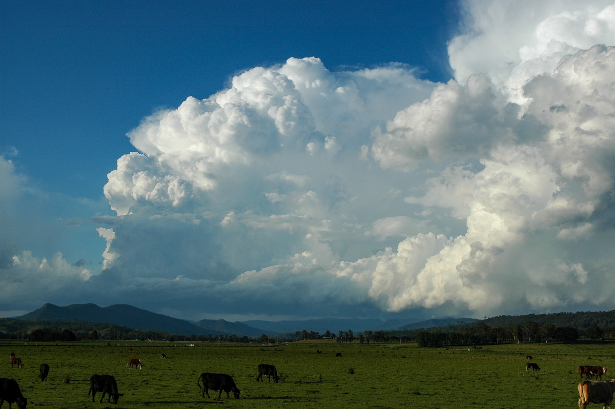 favourites michael_bath : Kyogle, NSW   25 October 2005