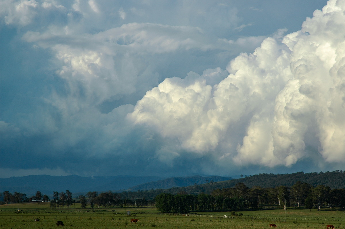 cumulonimbus thunderstorm_base : Kyogle, NSW   25 October 2005